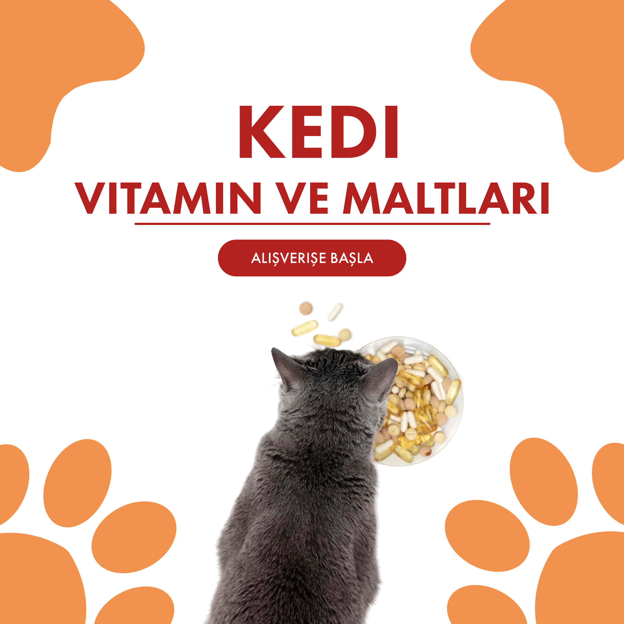 Kedi Vitamin ve Maltlar